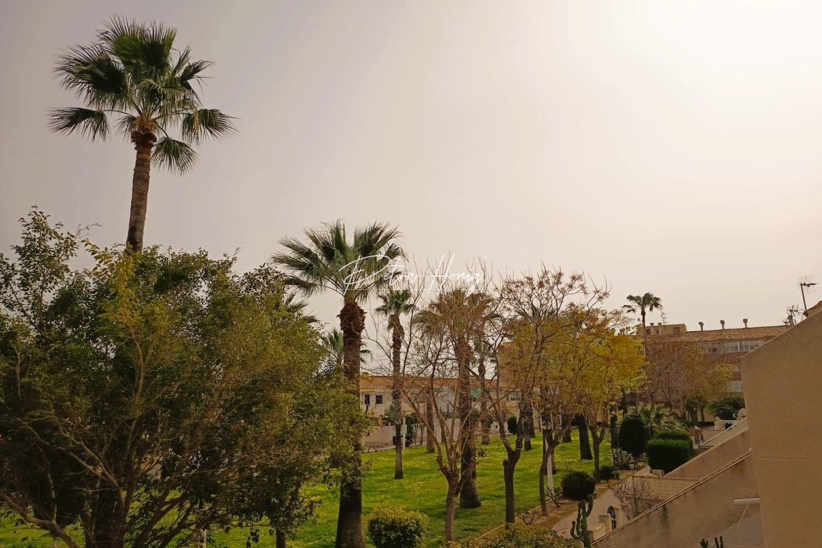 Sale -  квартира - Orihuela Costa - La Regia