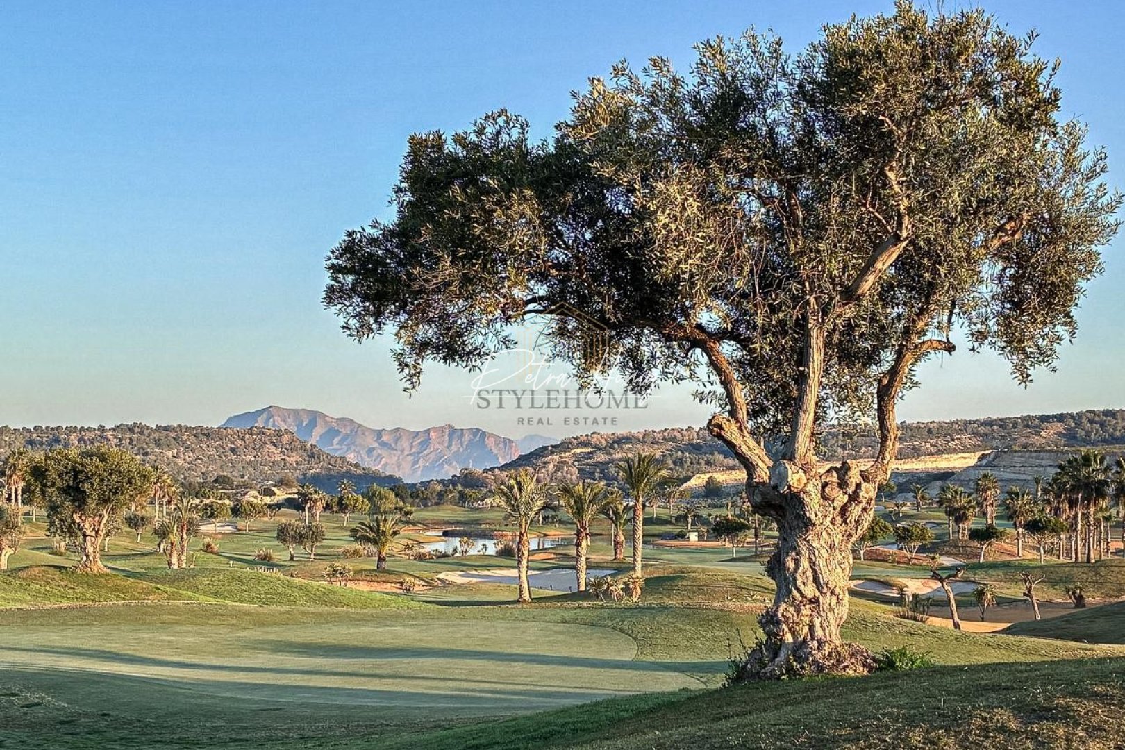 Sale -  квартира - Vista Bella Golf - Entre Naranjos Vistabella Golf