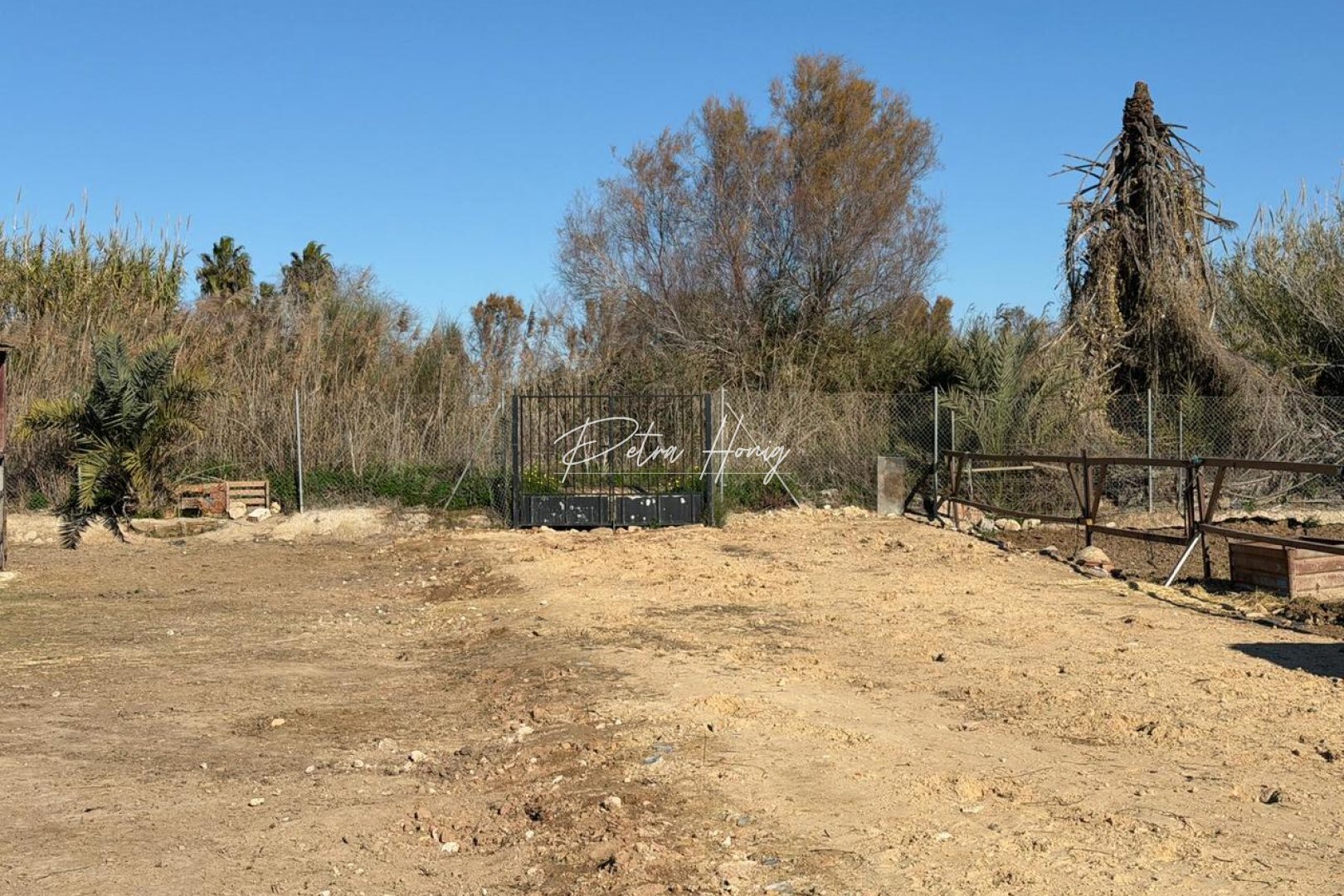 Sale - участок - Algorfa - La Finca Golf - Algorfa