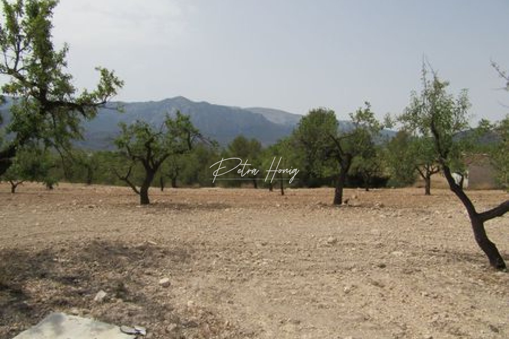 Sale - участок - Other areas - Murcia