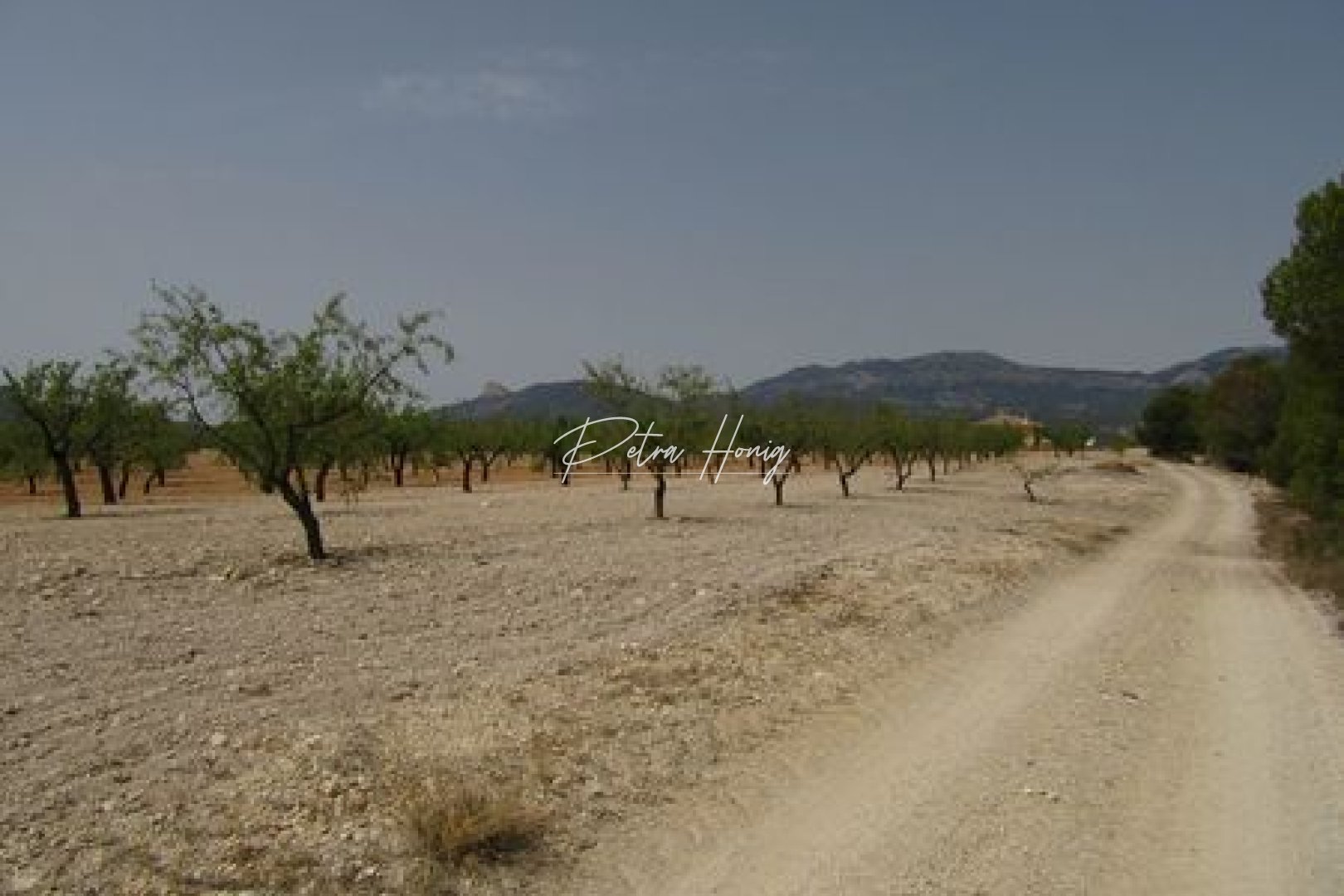 Sale - участок - Other areas - Murcia