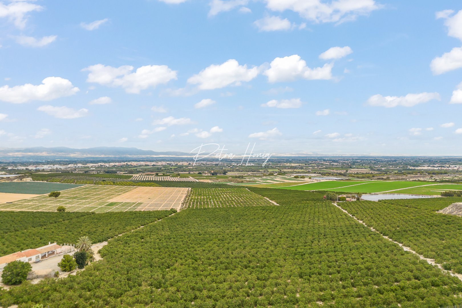 Sale - Вилла - Algorfa - La Finca Golf - Algorfa