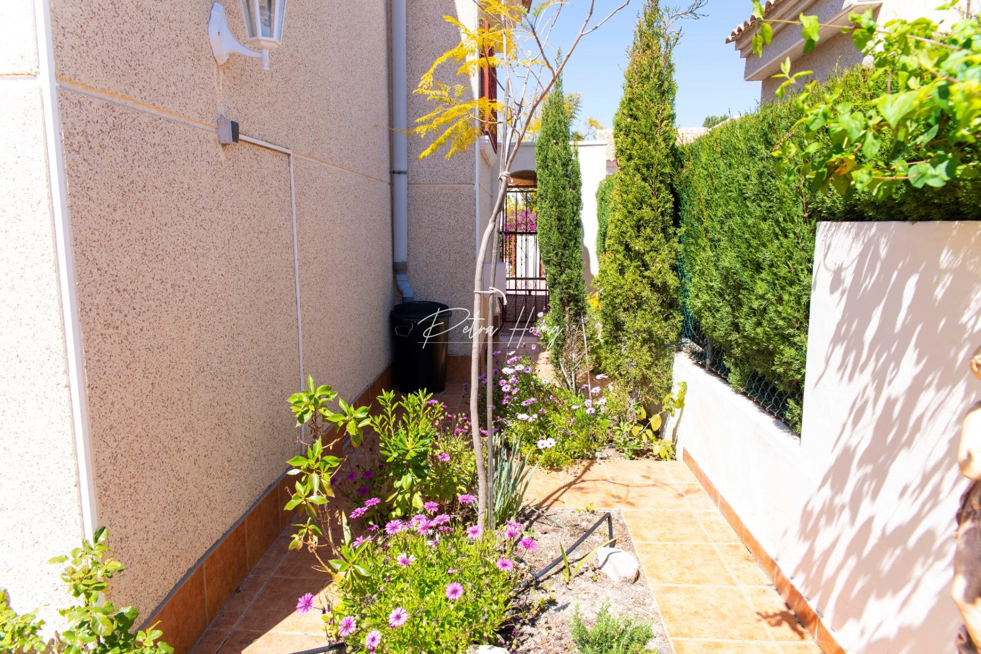 Sale - Вилла - Algorfa - Montemar