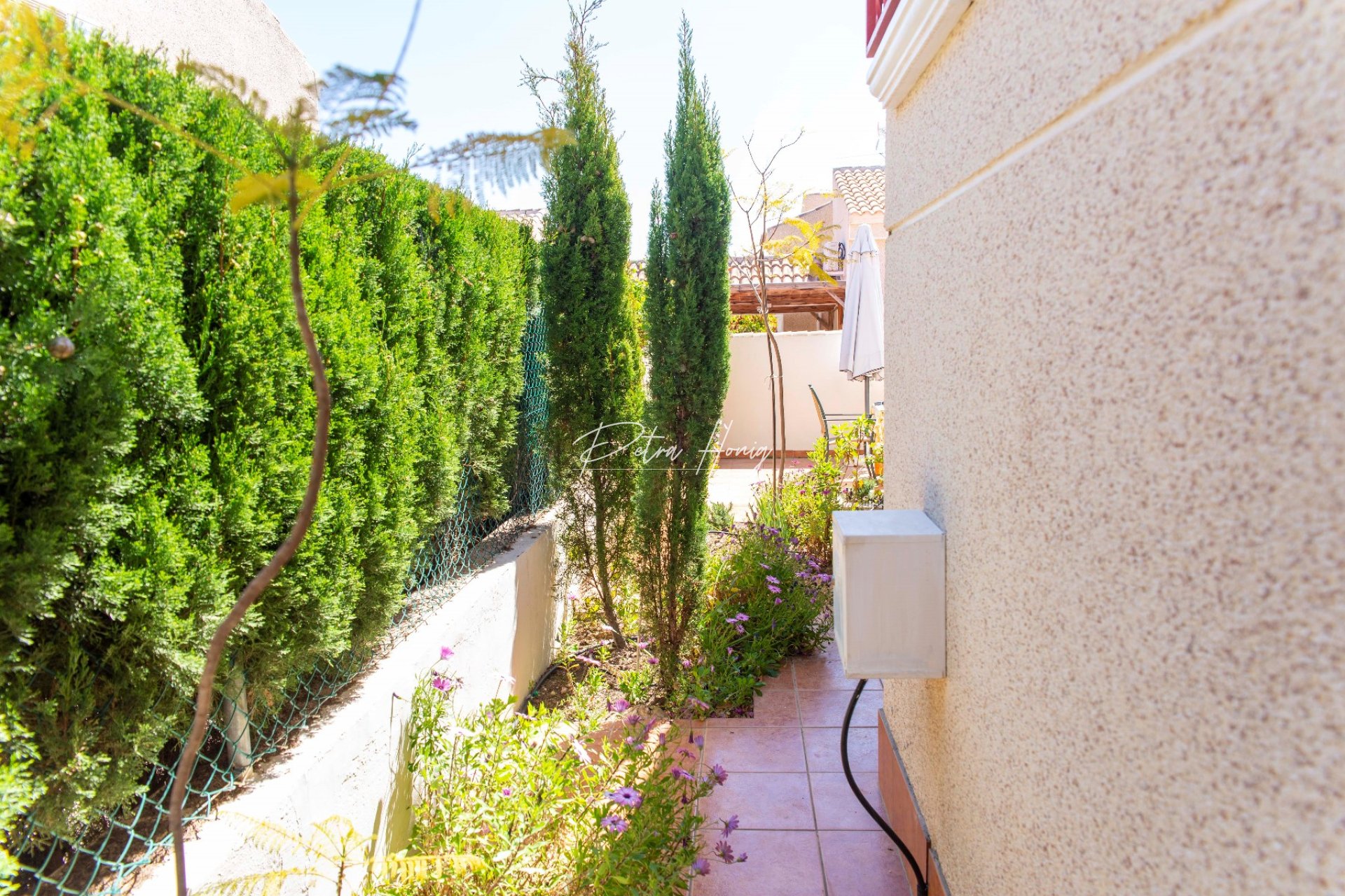 Sale - Вилла - Algorfa - Montemar