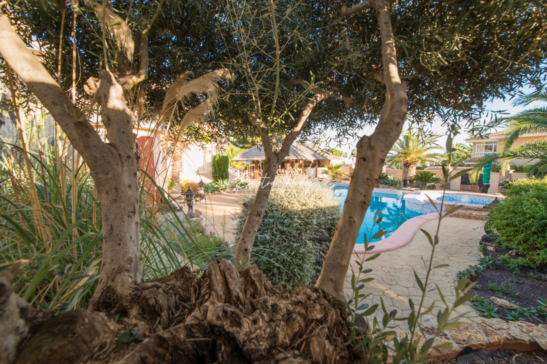 Sale - Вилла - Ciudad Quesada - Pueblo Bravo