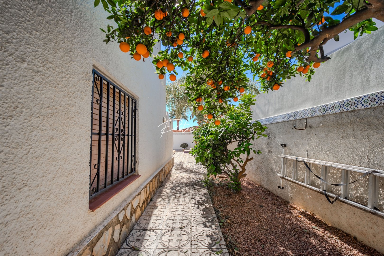 Sale - Вилла - Ciudad Quesada - Town Center