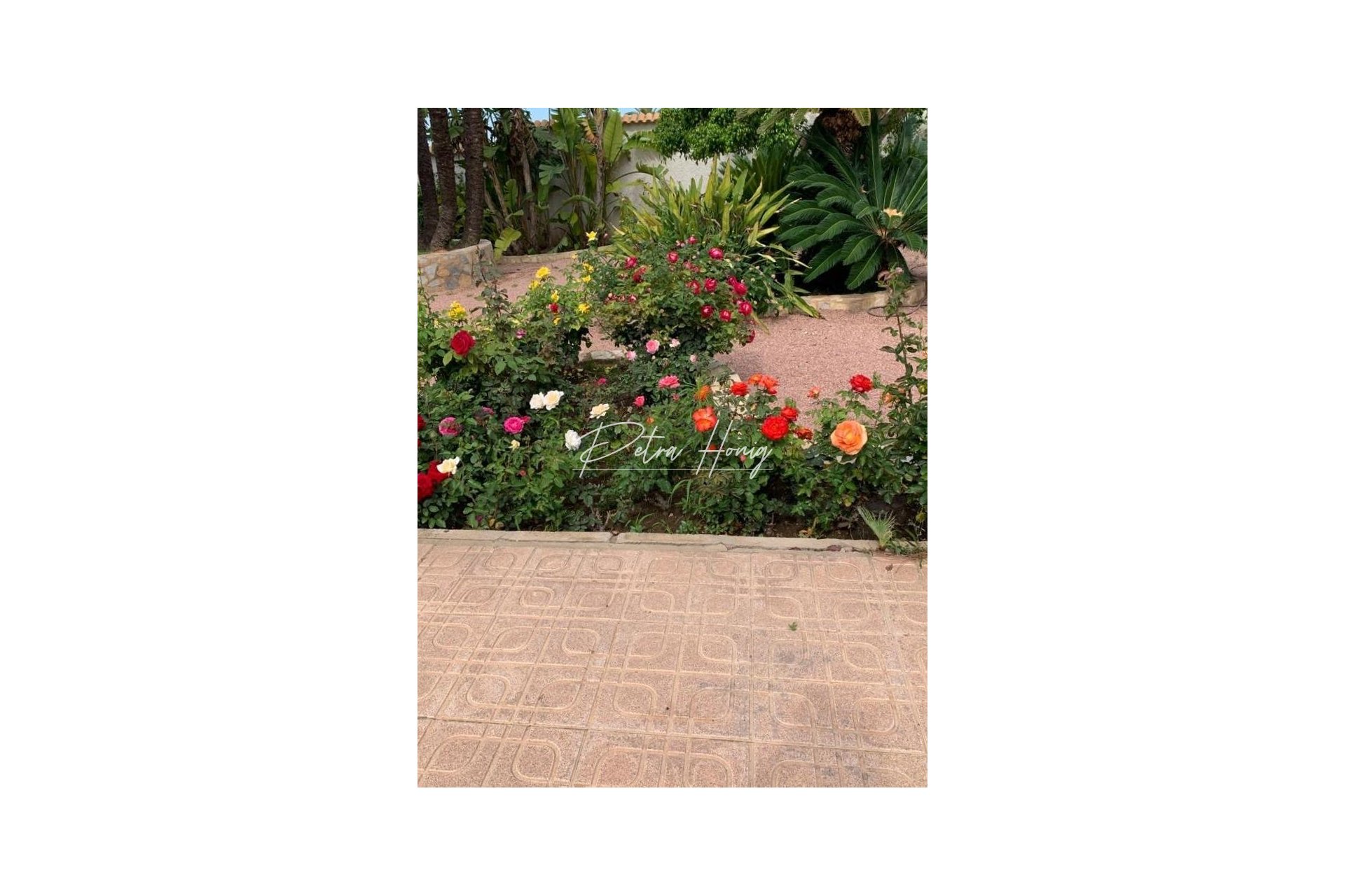 Sale - Вилла - Ciudad Quesada - Town Center