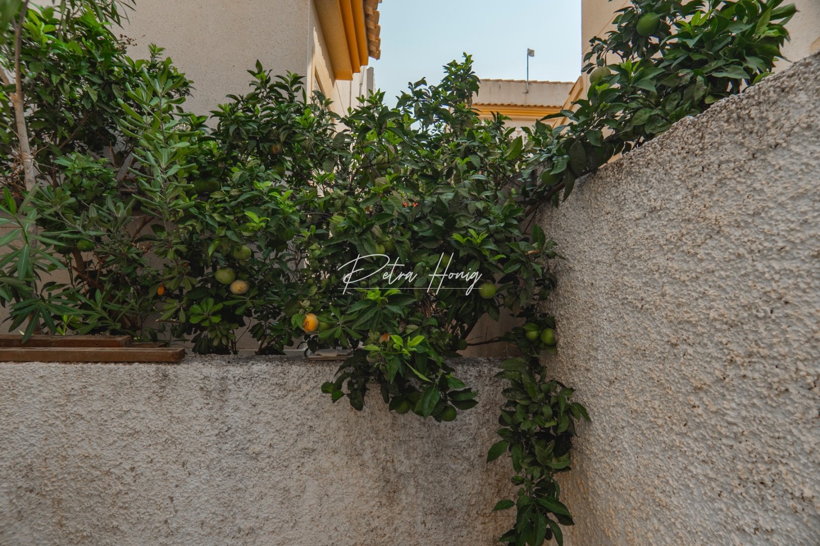 Sale - Вилла - Ciudad Quesada