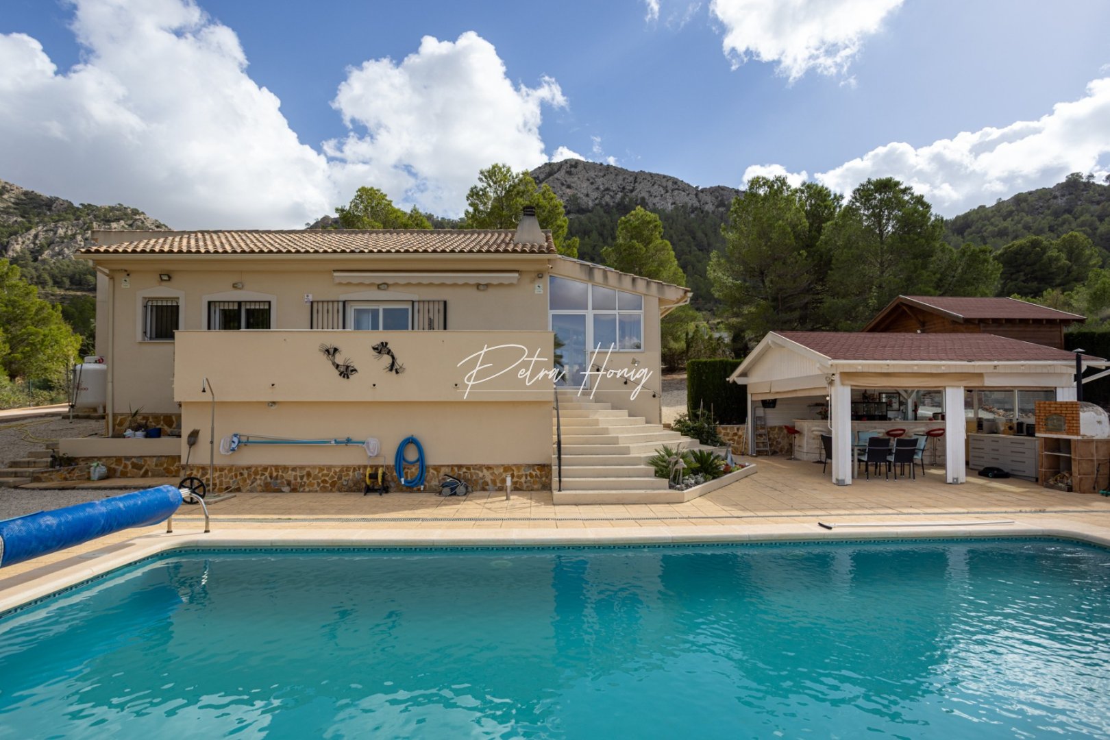 Sale - Villa - Detached - Other areas - La Zarza