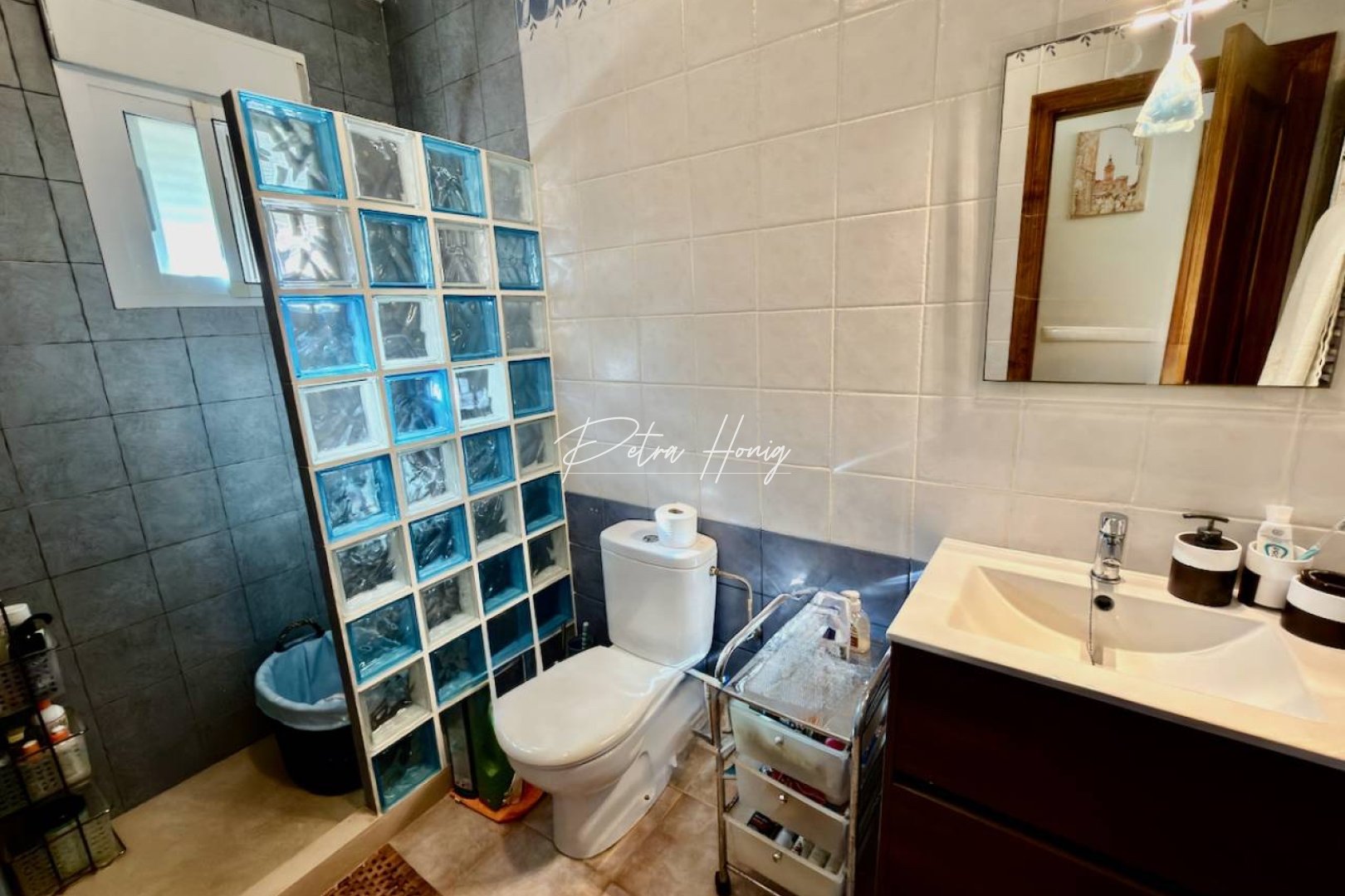 Sale - Вилла - El Raso - El Raso, Guardamar