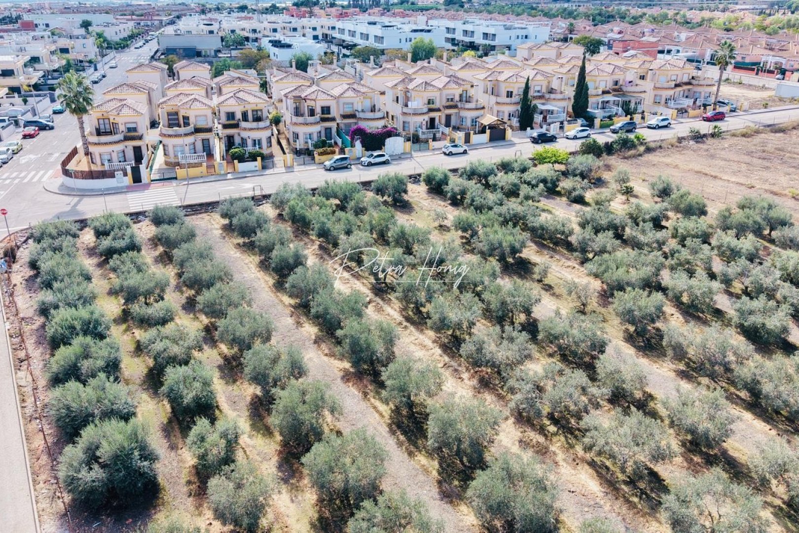 Sale - Вилла - Los Montesinos - La Herrada
