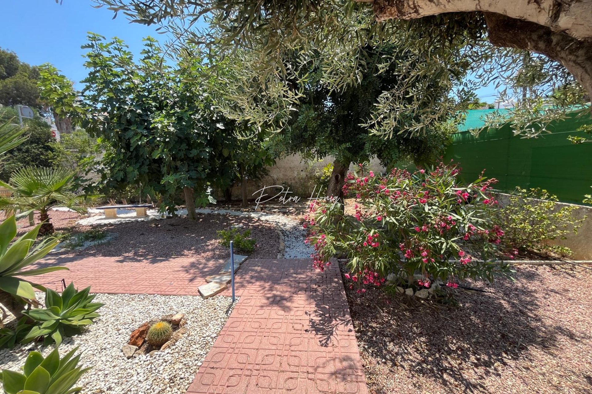 Sale - Вилла - San Miguel de Salinas - Blue Lagoon