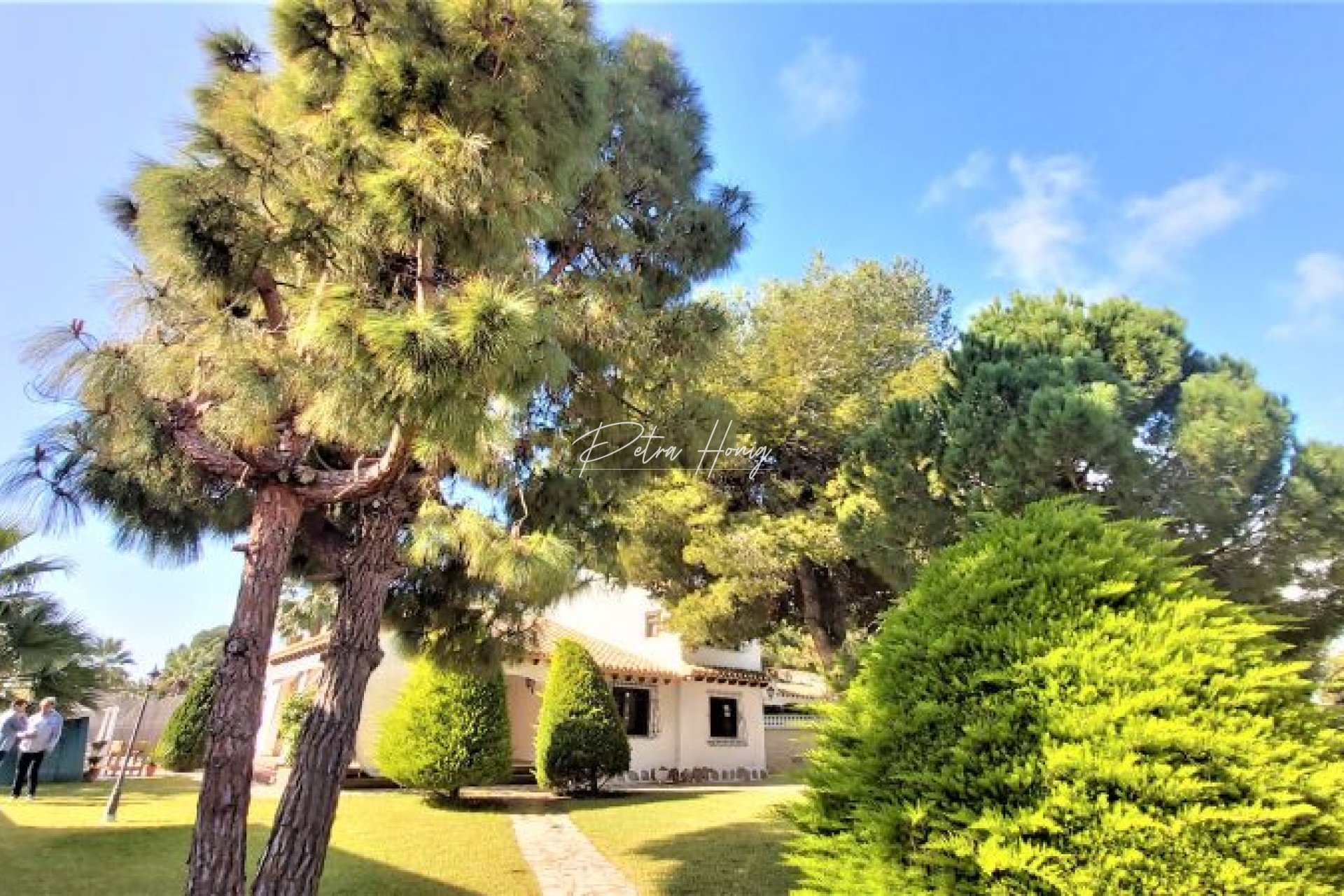 Sale - Вилла - Torrevieja