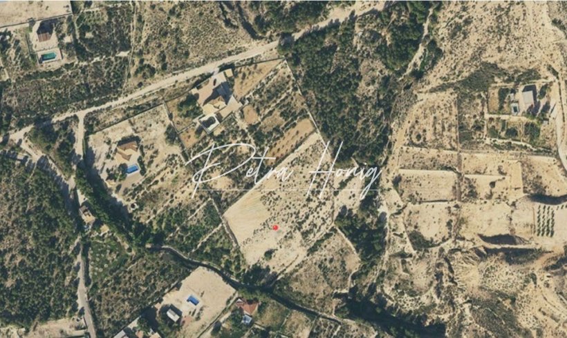 Terrain - A Vendre - Crevillente - Crevillente