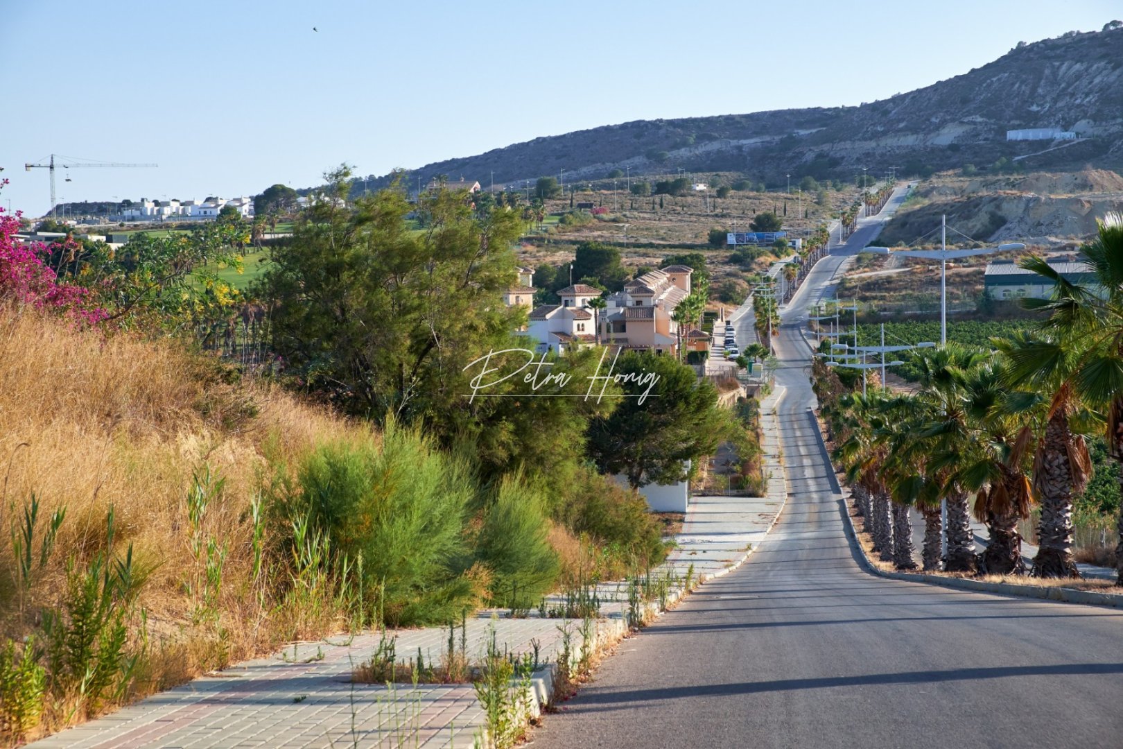 Til Salgs - Finca - Algorfa - La Finca Golf - Algorfa