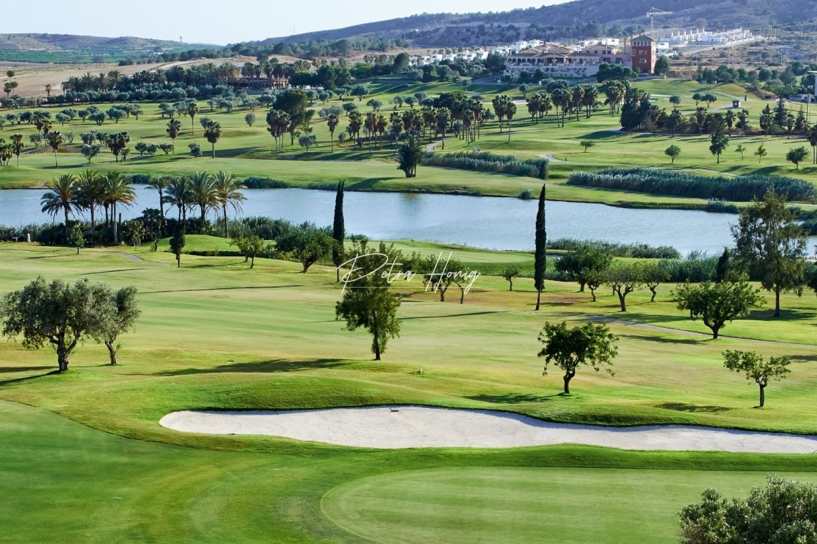 Til Salgs - Finca - Algorfa - La Finca Golf - Algorfa
