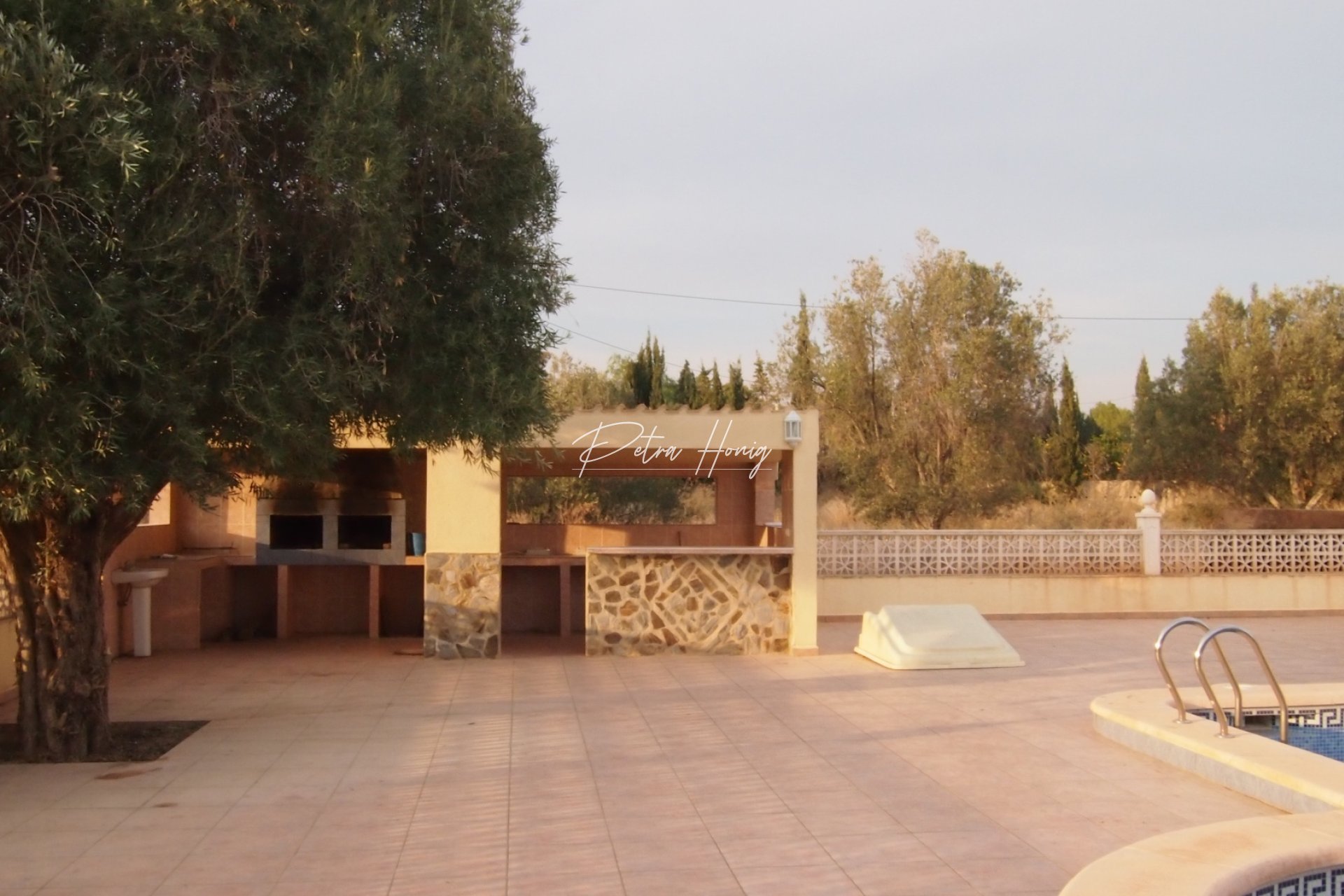 Til Salgs - Finca - Crevillente