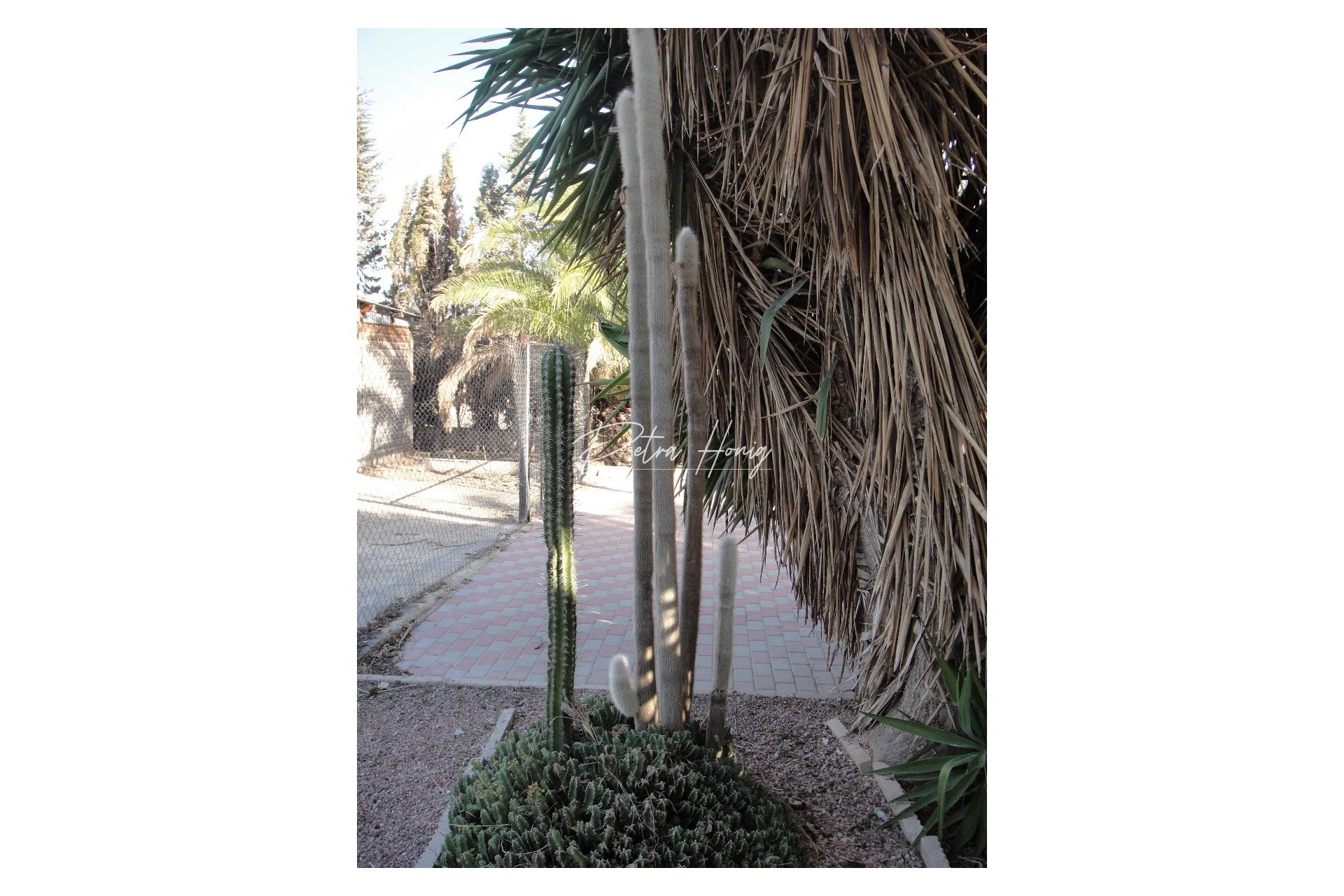 Til Salgs - Finca - Crevillente