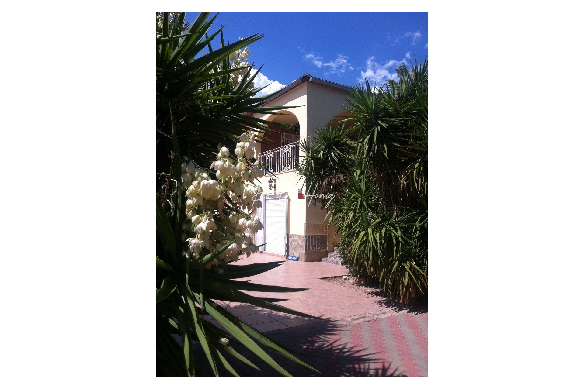 Til Salgs - Finca - Crevillente