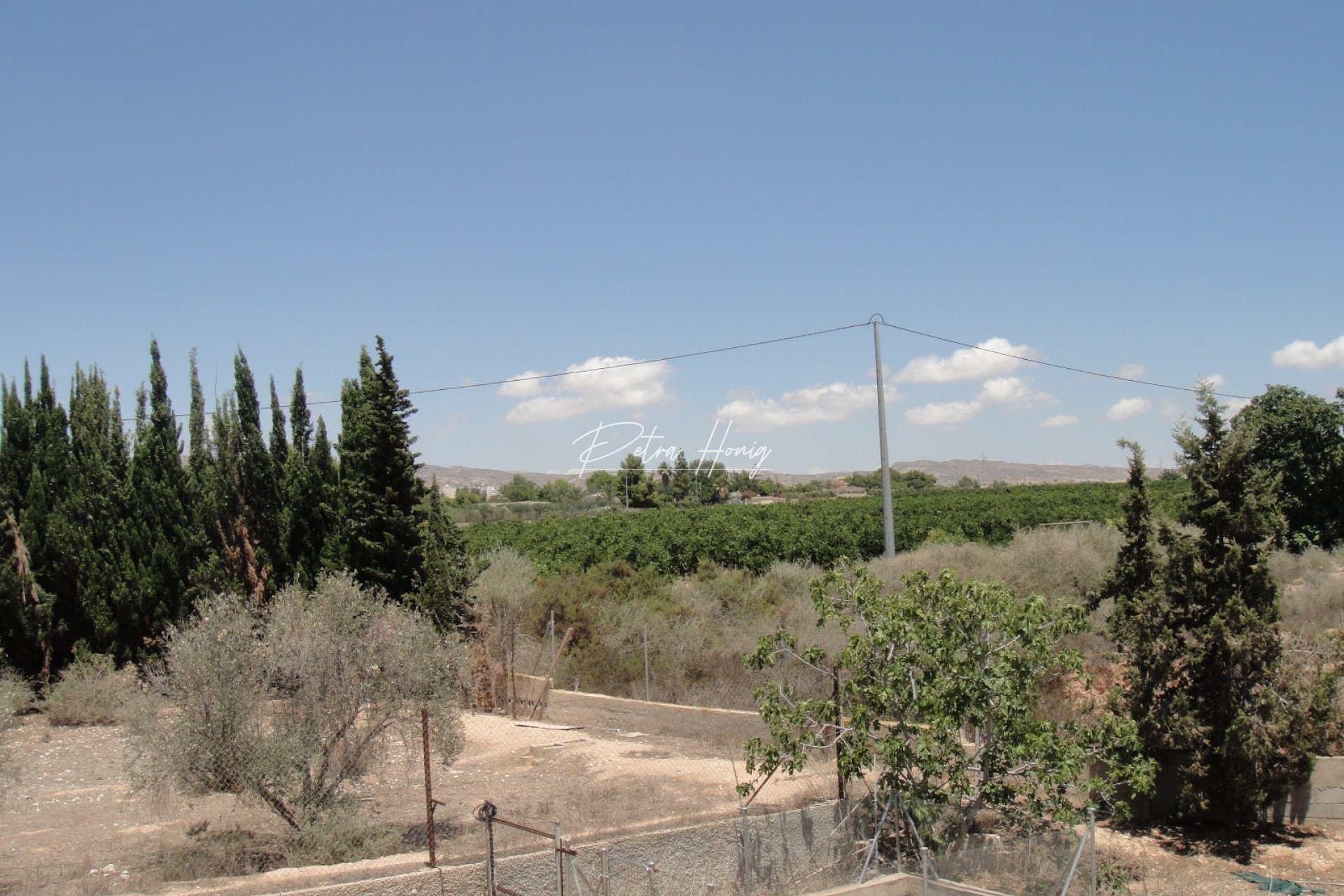 Til Salgs - Finca - Crevillente