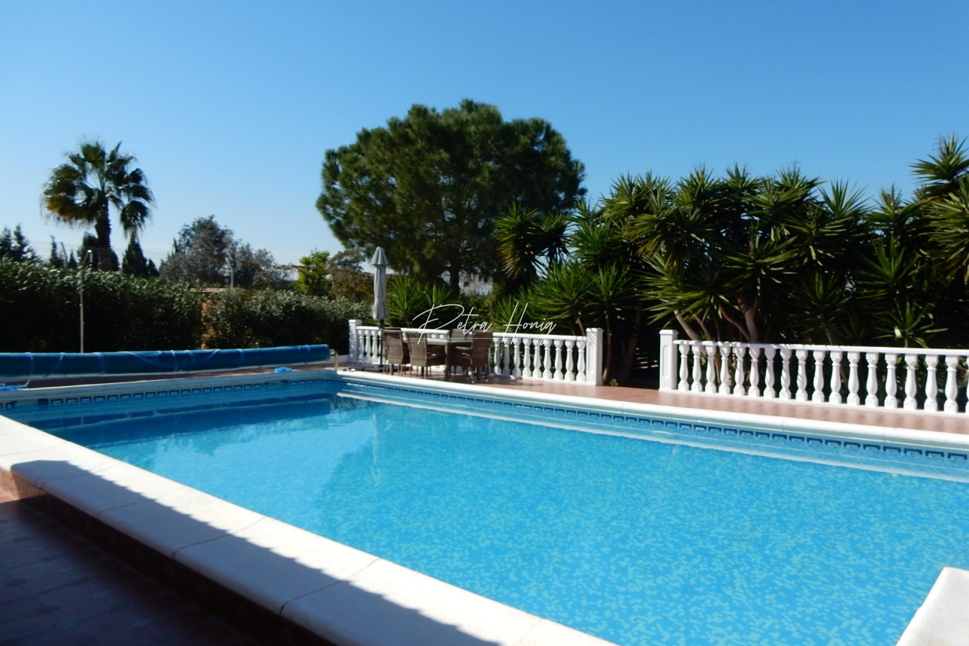 Til Salgs - Finca - Daya Vieja