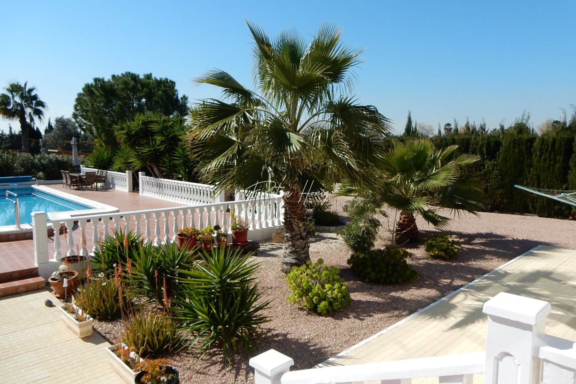 Til Salgs - Finca - Daya Vieja