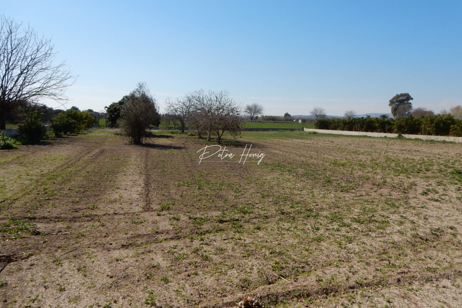 Til Salgs - Finca - Daya Vieja