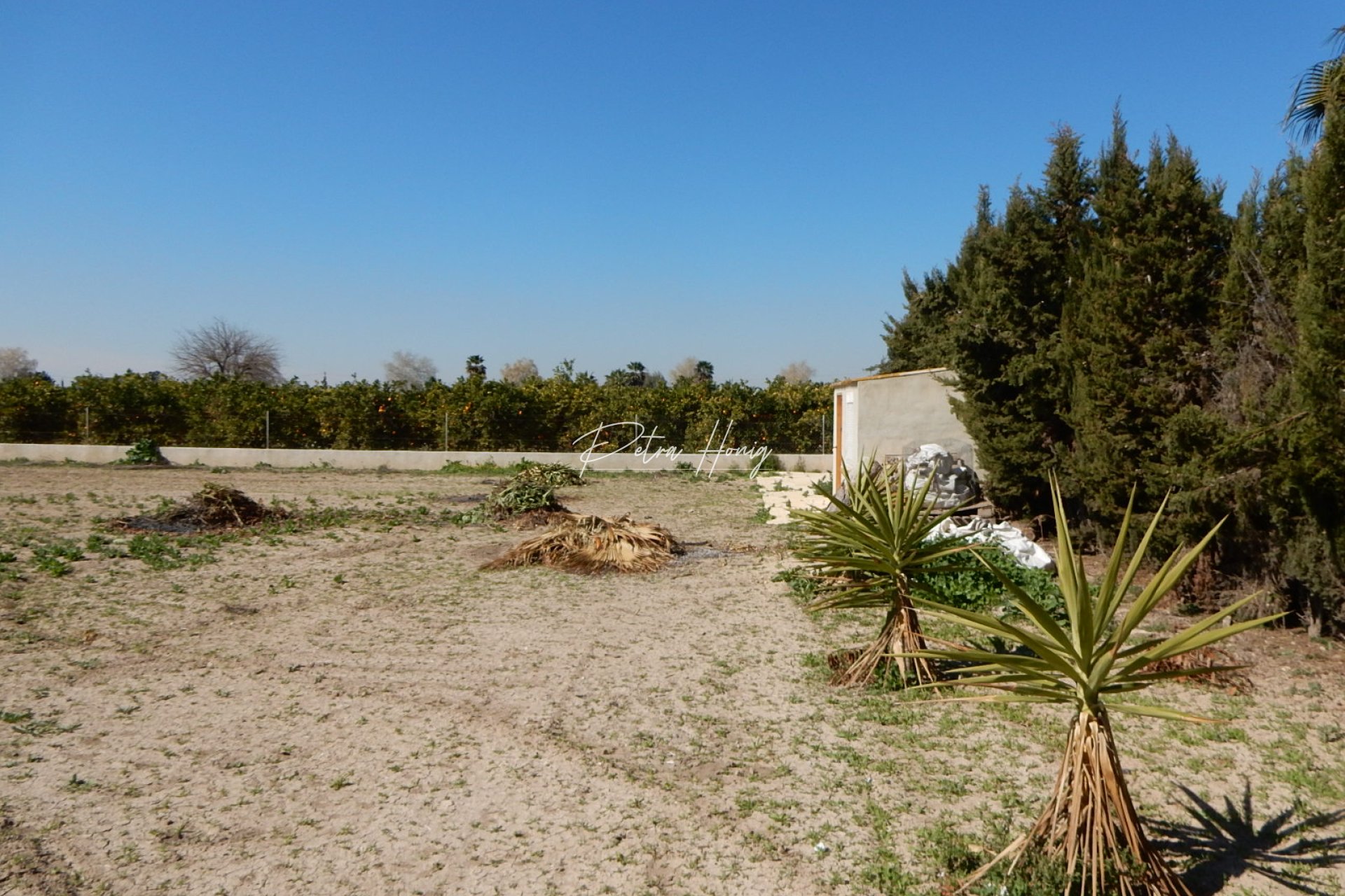 Til Salgs - Finca - Daya Vieja