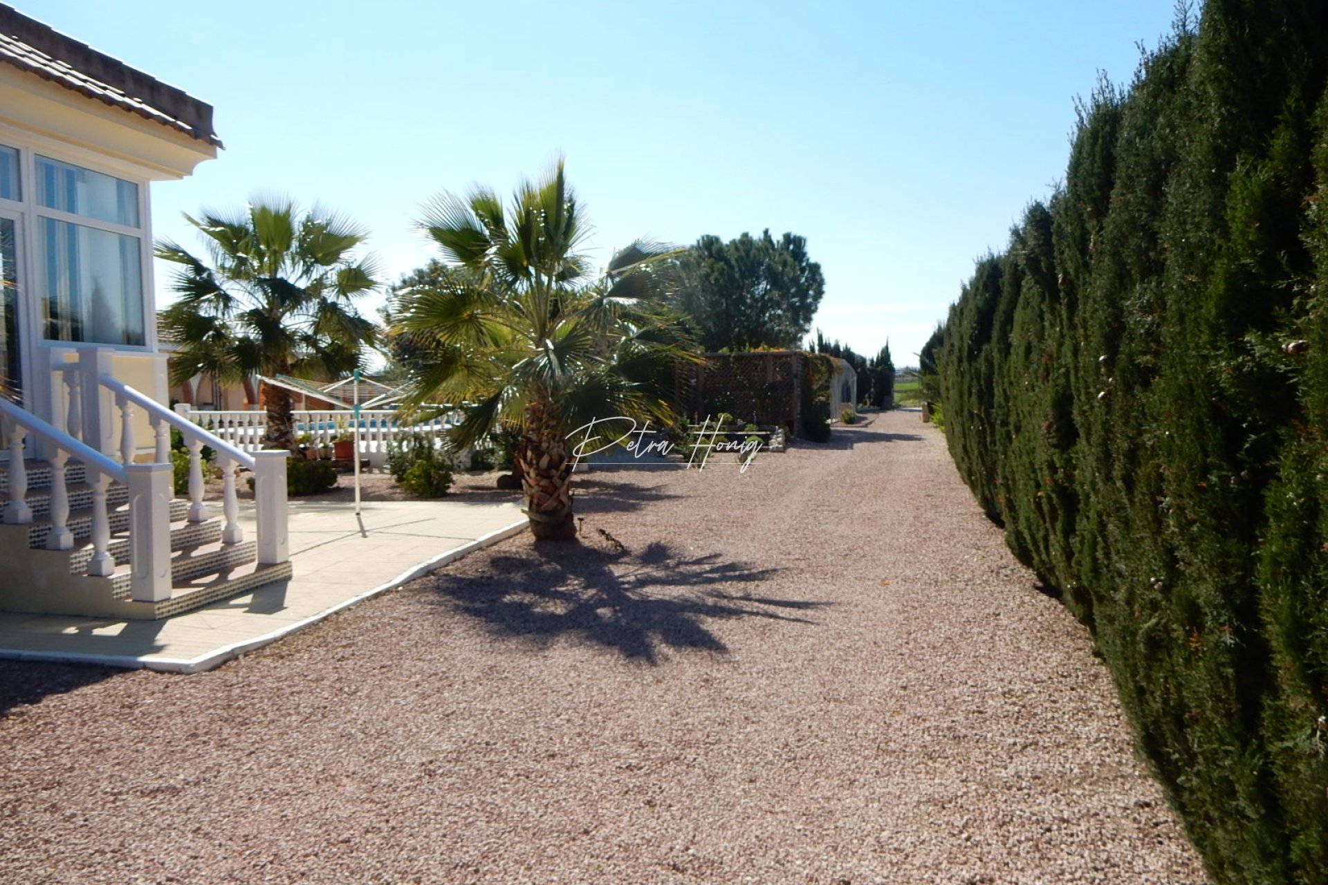 Til Salgs - Finca - Daya Vieja