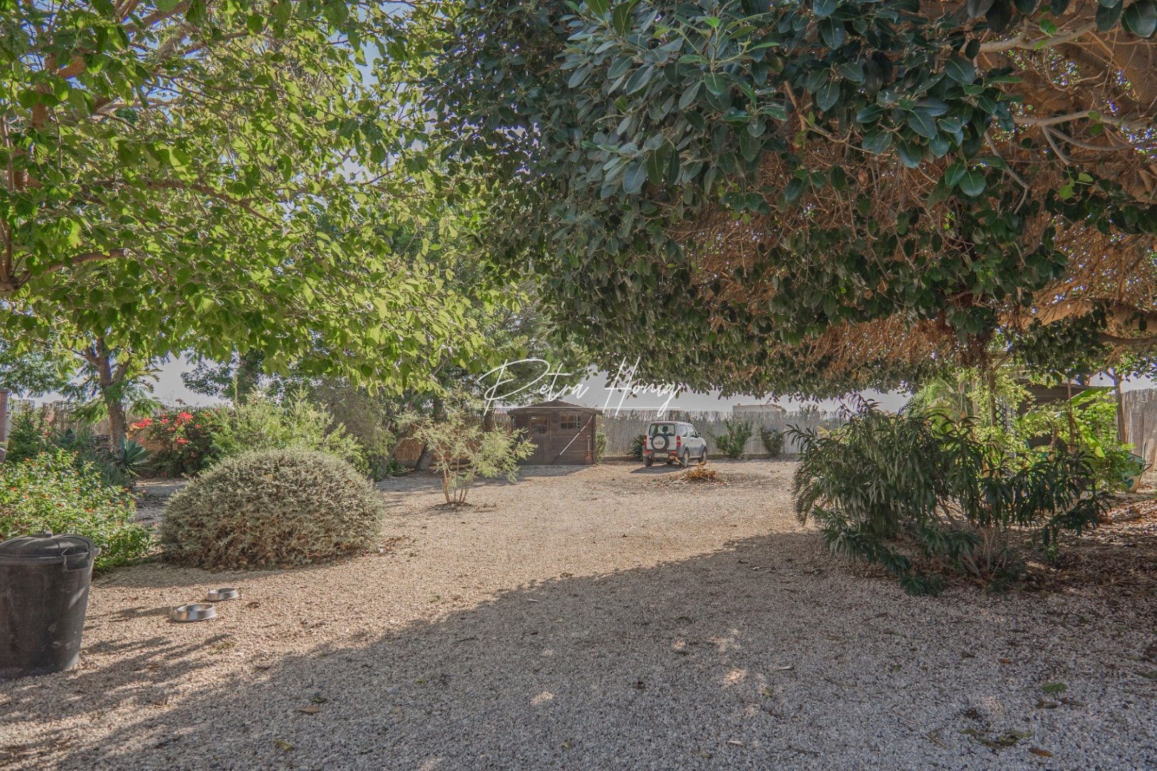 Til Salgs - Finca - Other areas - San Bartolome