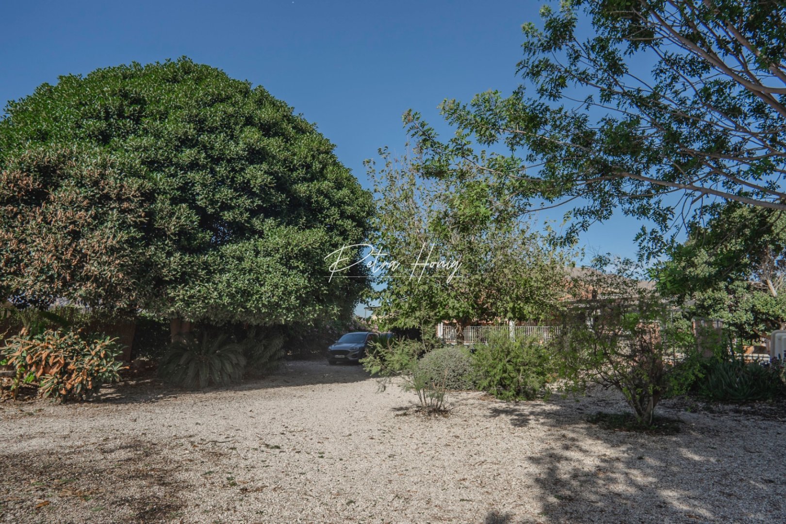 Til Salgs - Finca - Other areas - San Bartolome