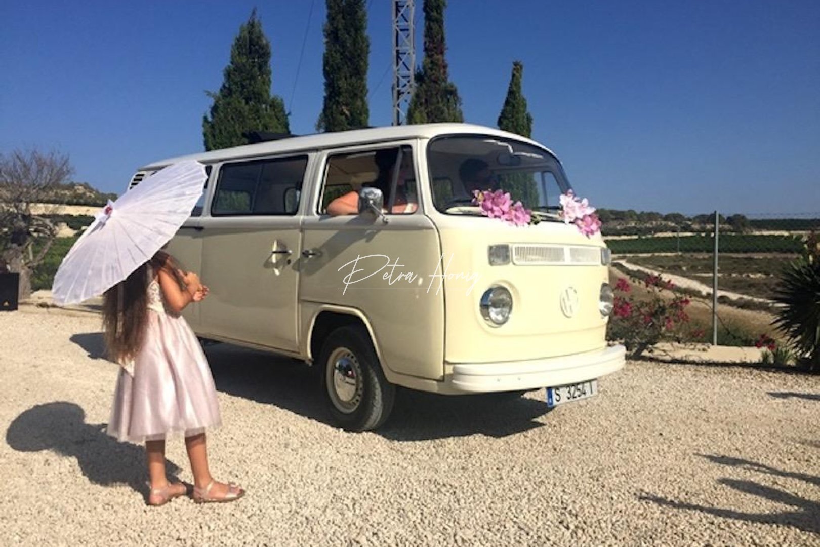 Til Salgs - Finca - Other areas - Torremendo