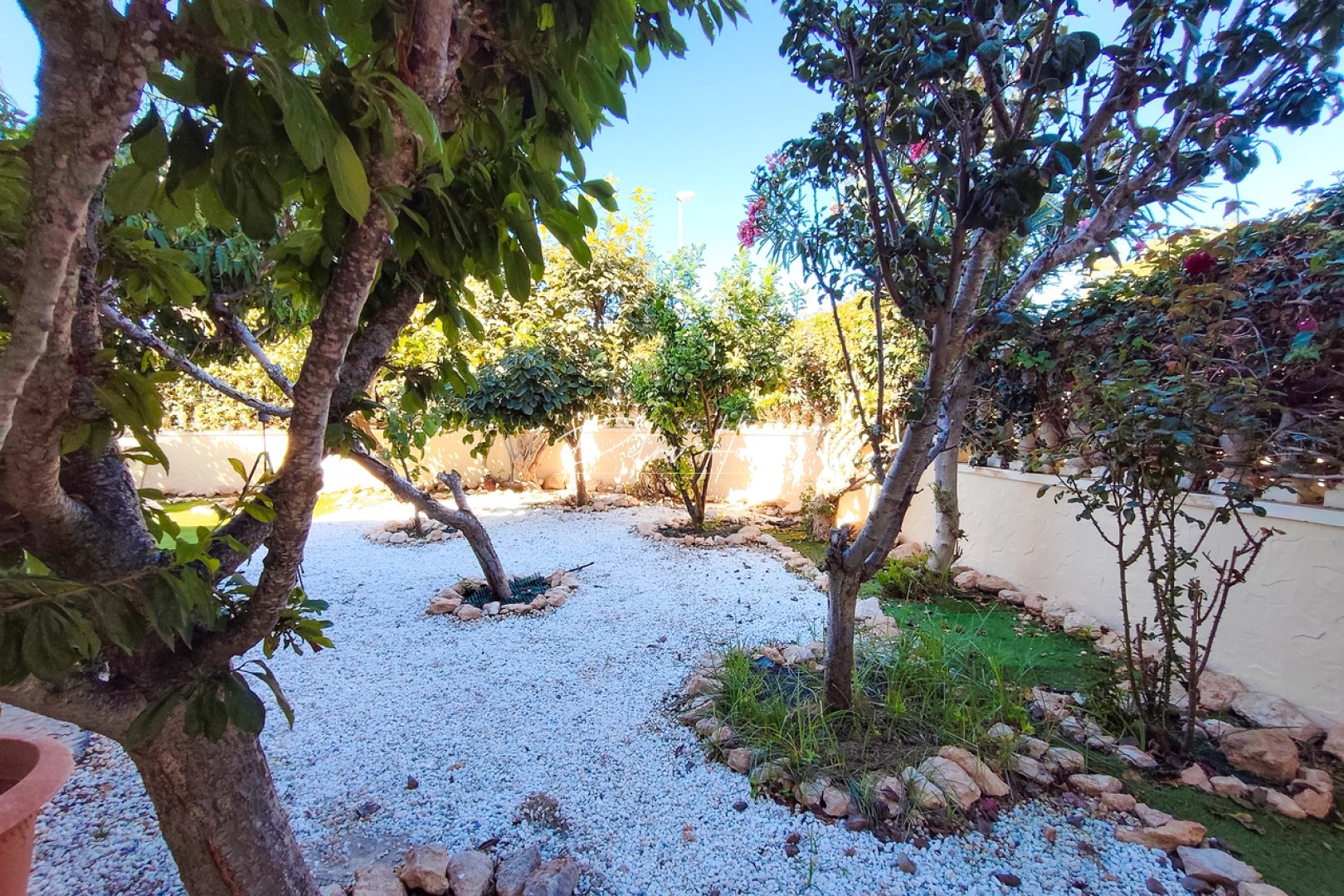 Til Salgs - Leilighet - Cabo Roig