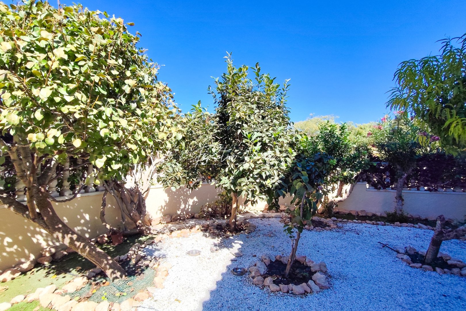 Til Salgs - Leilighet - Cabo Roig