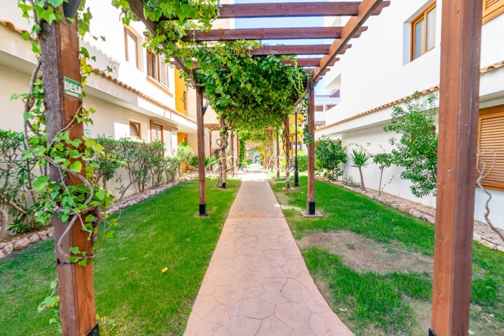 Til Salgs - Leilighet - Punta Prima