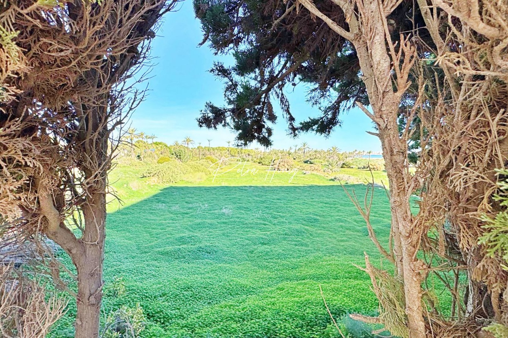 Til Salgs - Leilighet - Torrevieja - Rocio del Mar