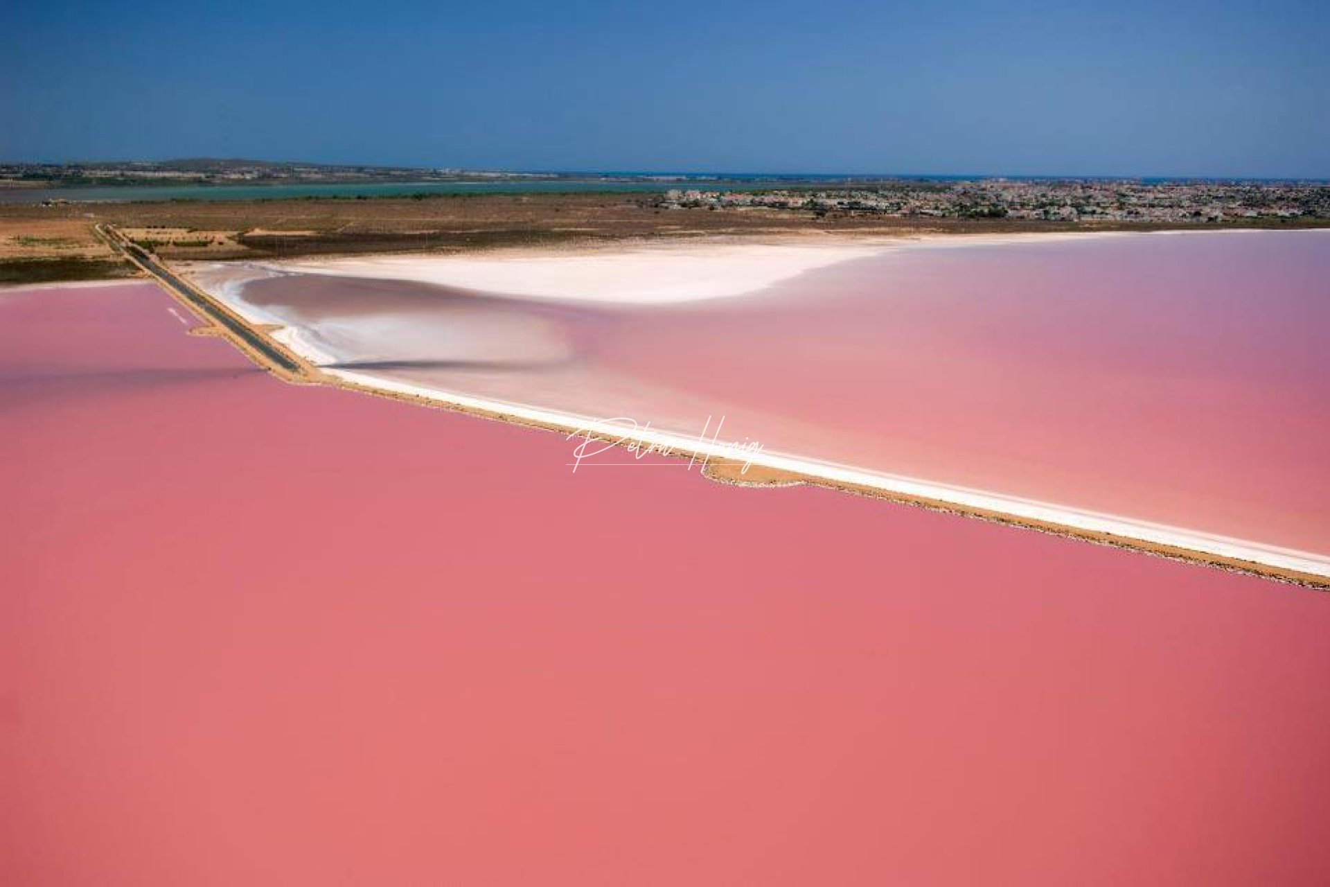 Til Salgs - Leilighet - Torrevieja - San Luis - Chaparal