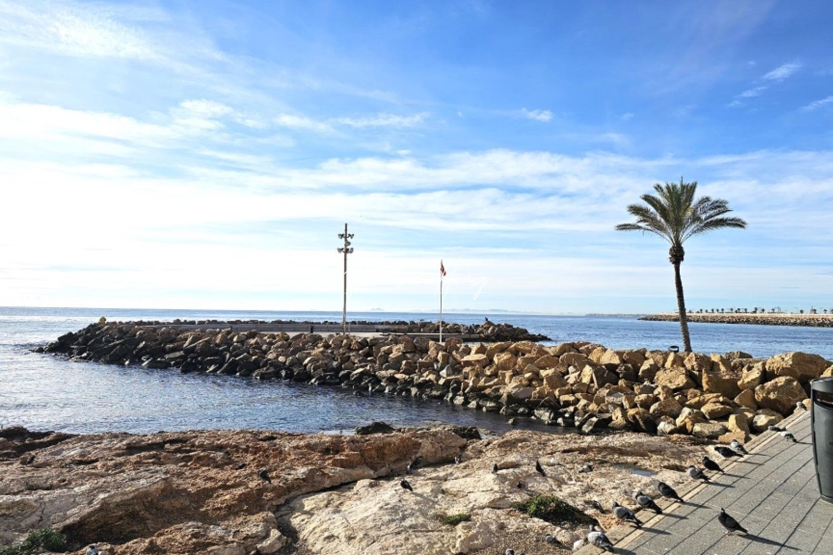 Til Salgs - Leilighet - Torrevieja