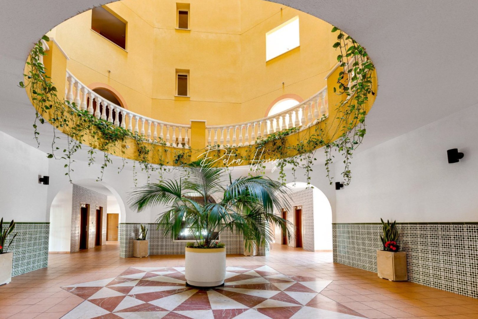 Til Salgs - Leilighet - Torrevieja