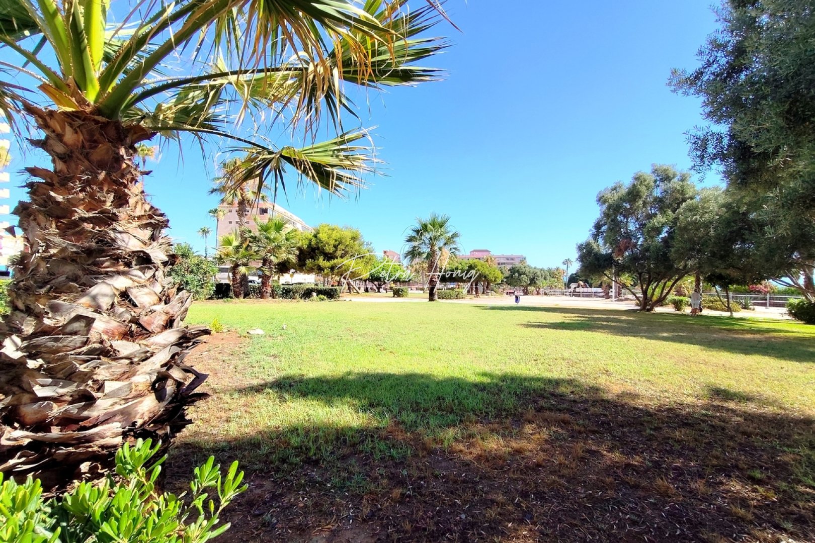 Til Salgs - Leilighet - Torrevieja