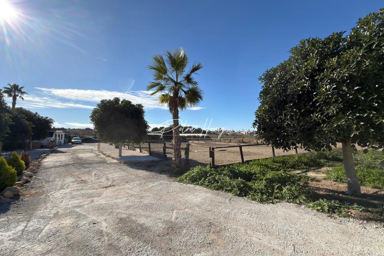 Til Salgs - Plott - Algorfa - La Finca Golf - Algorfa