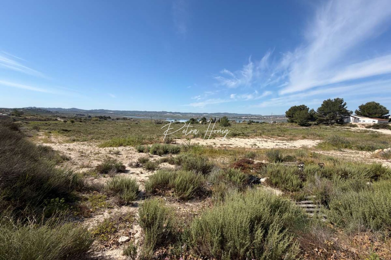 Til Salgs - Plott - San Miguel de Salinas - Torremendo