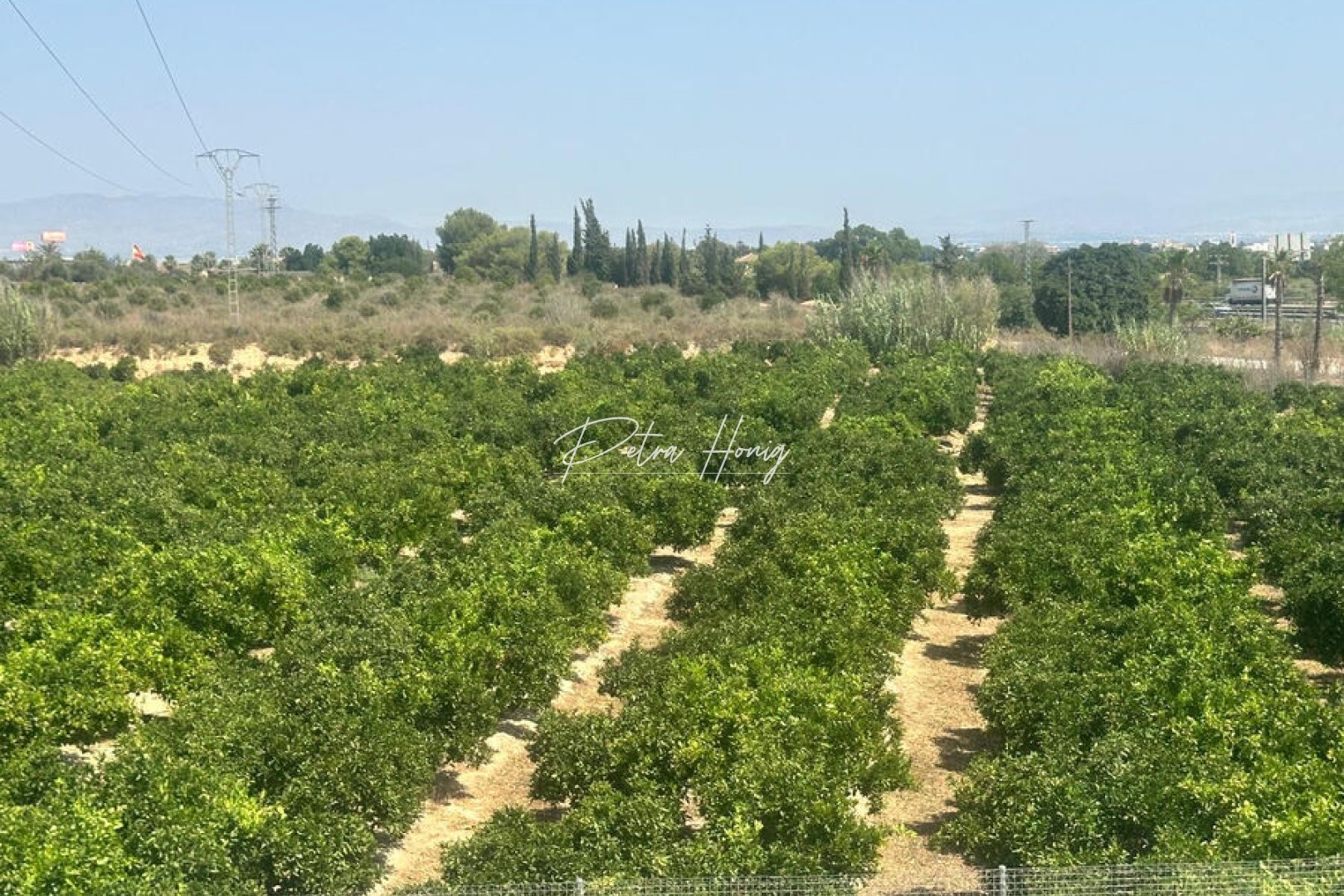 Til Salgs - Villa - Algorfa - La Finca Golf - Algorfa