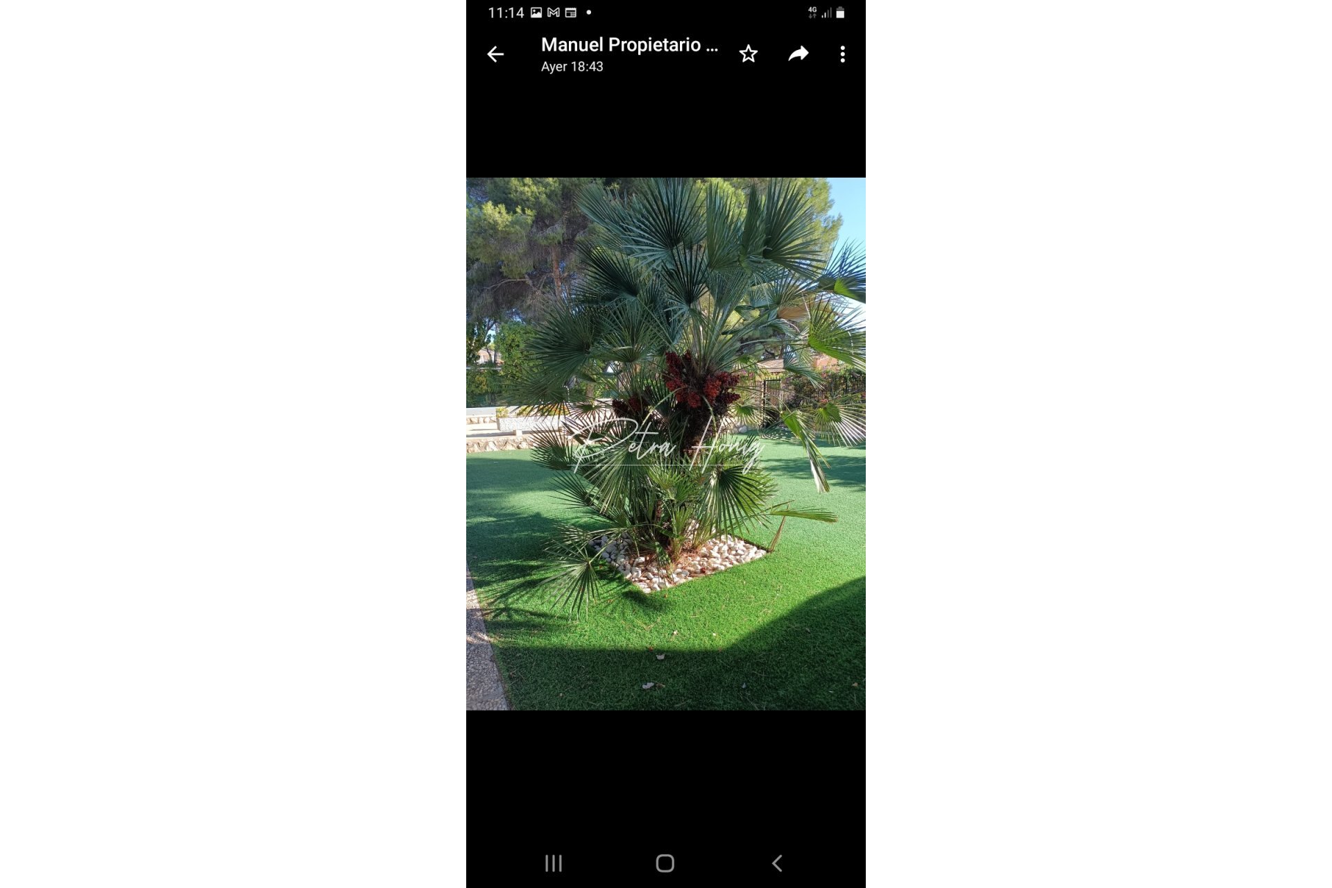 Til Salgs - Villa - Campoamor