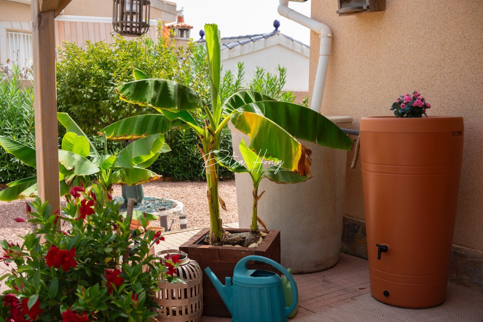 Til Salgs - Villa - Ciudad Quesada - Town Center