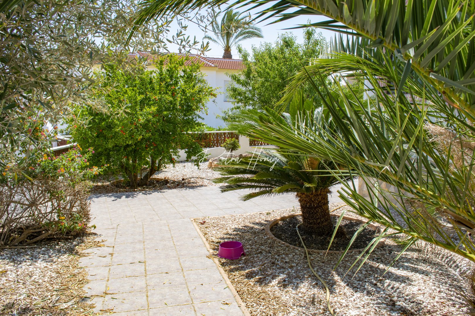 Til Salgs - Villa - Ciudad Quesada - Town Center