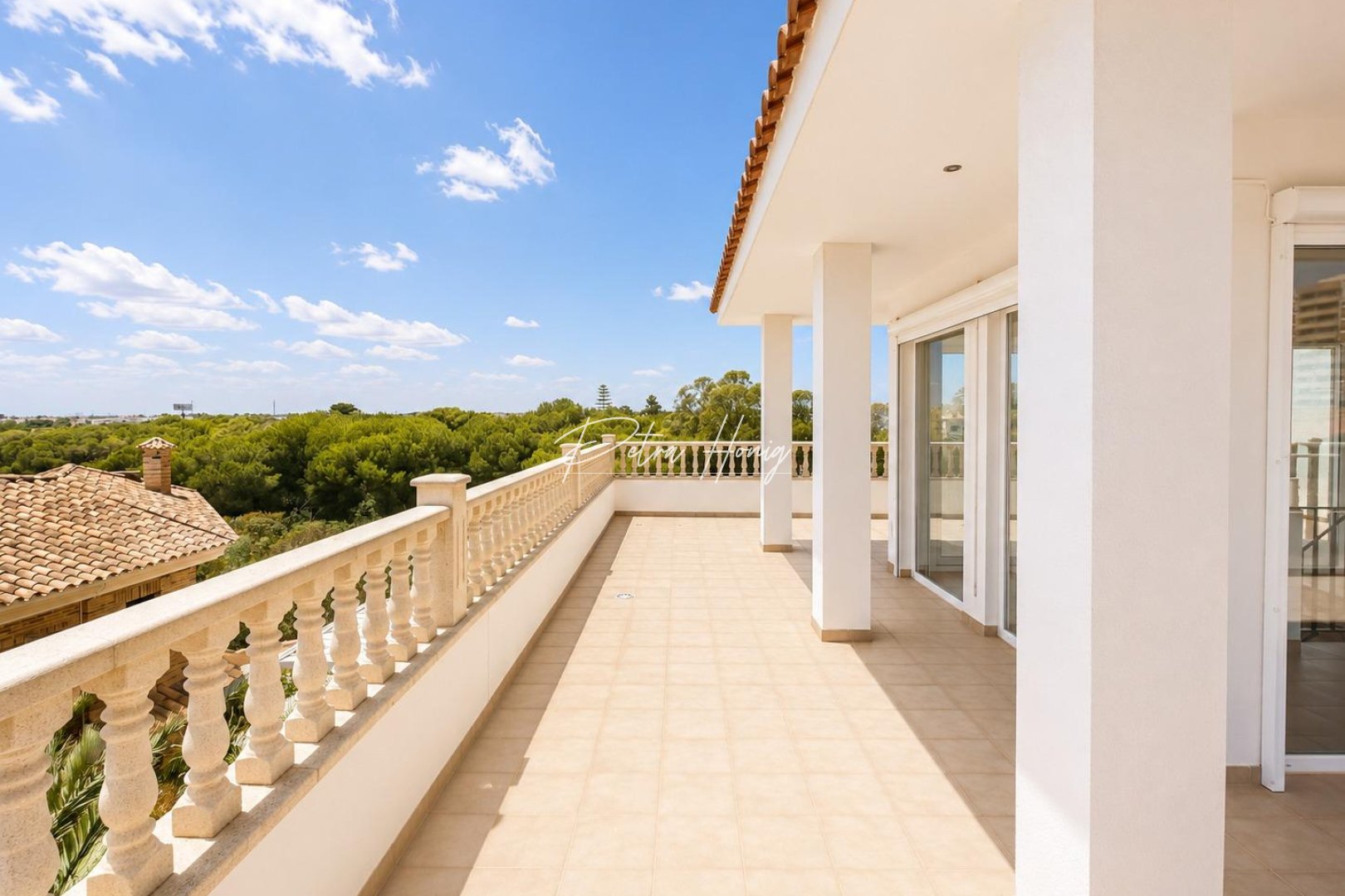 Til Salgs - Villa - Dehesa de campoamor - Campoamor