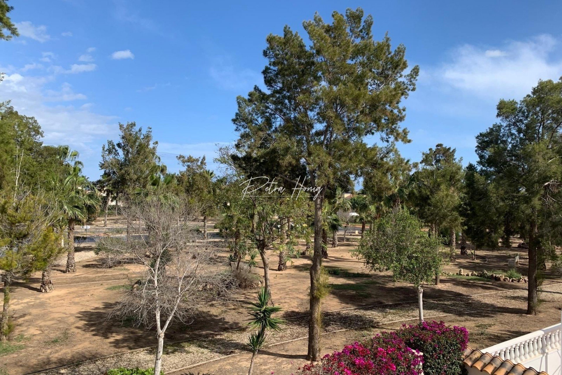 Til Salgs - Villa - Guardamar del Segura - EL RASO