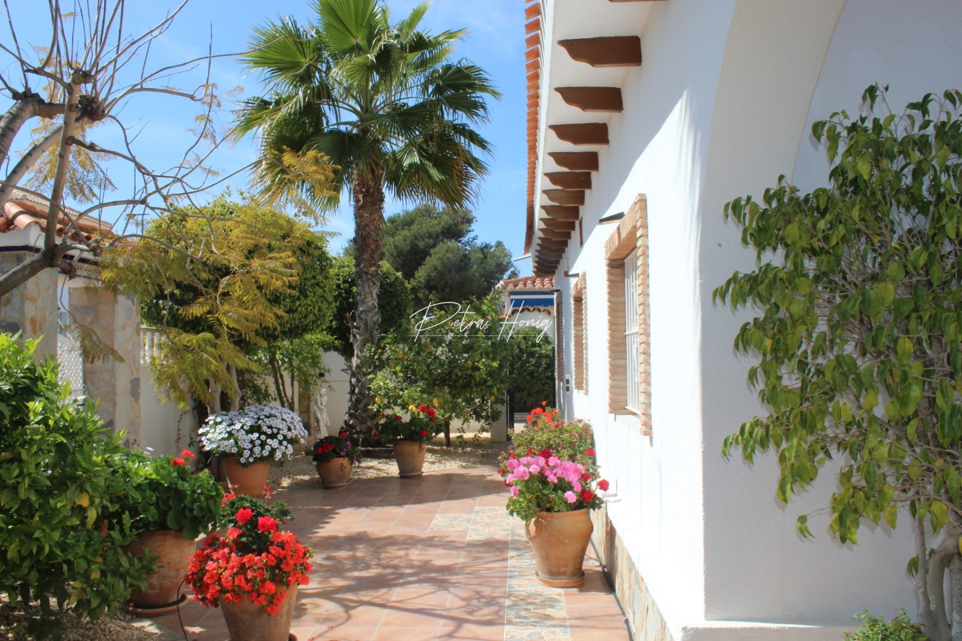 Til Salgs - Villa - La Zenia