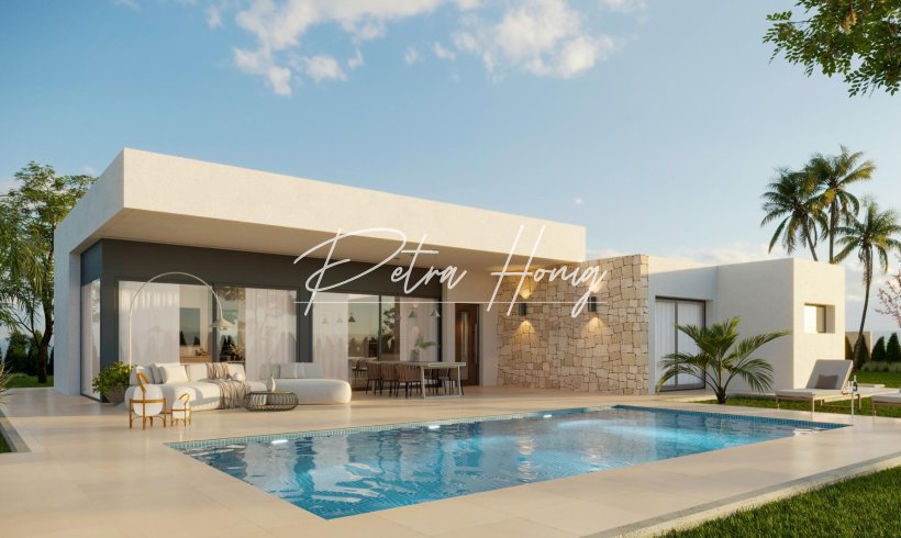 Villa - New build - Aspe - Poligono 19